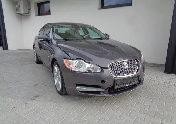 jaguar xf Jaguar XF cena 17900 przebieg: 187000, rok produkcji 2010 z Stargard